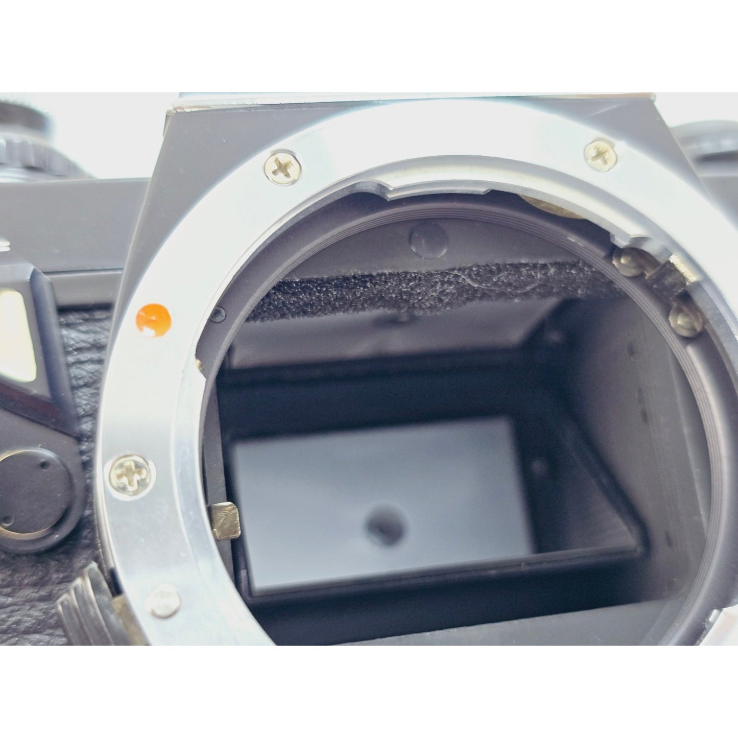 [Pre-owned] Pentax MV1 SLR 35mm Film Camera (Body Only) — Near MINT — Japan #2427
