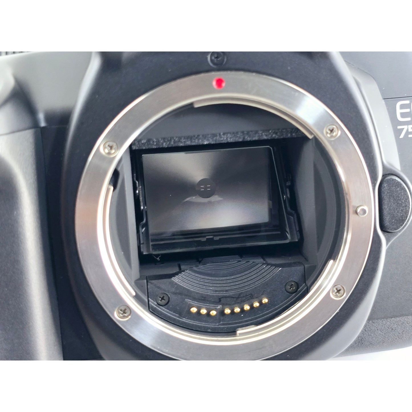 [Pre-owned] Canon EOS 750 QD 35mm Film Camera Body Only — MINT — Japan #3850