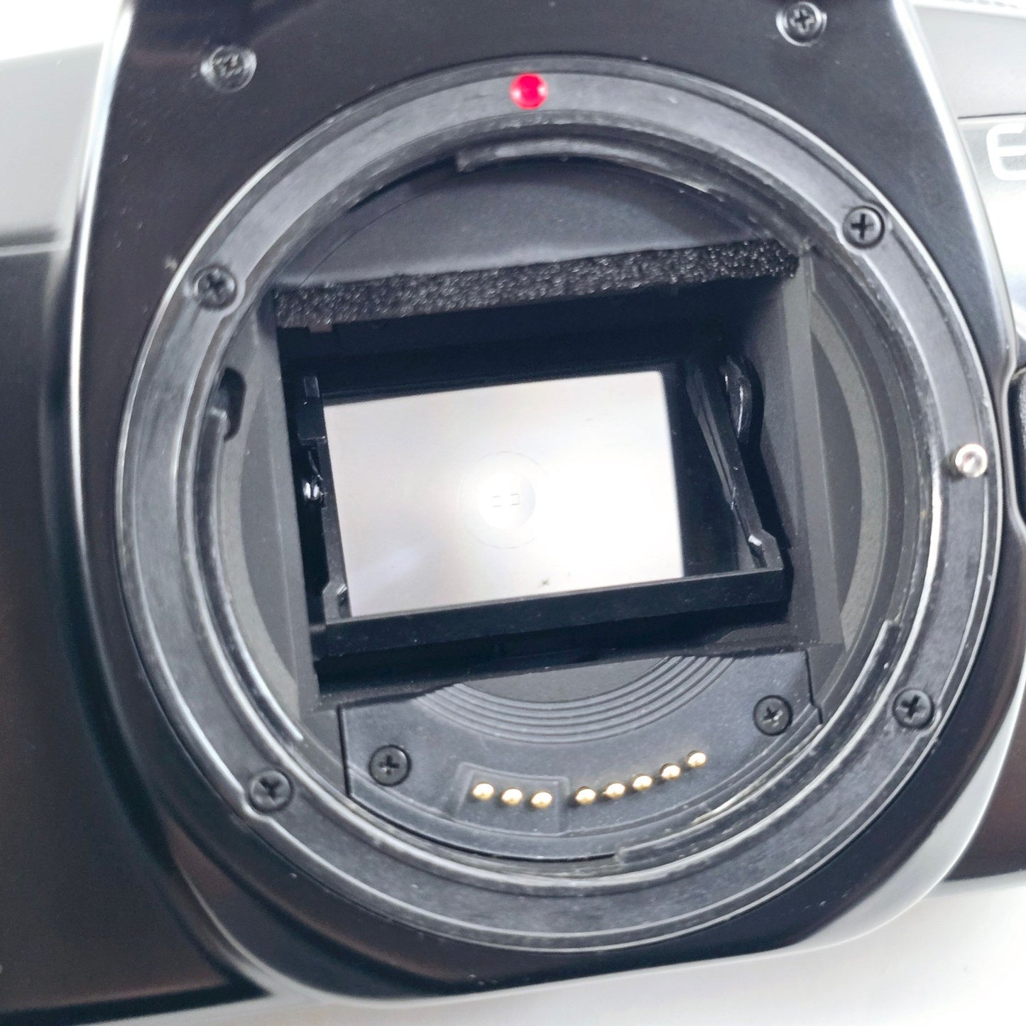 [Pre-owned] Canon EOS 1000 QD Film Camera with EF 28-80mm f/3.5-5.6 II AF Lens — Near MINT — Japan #4039