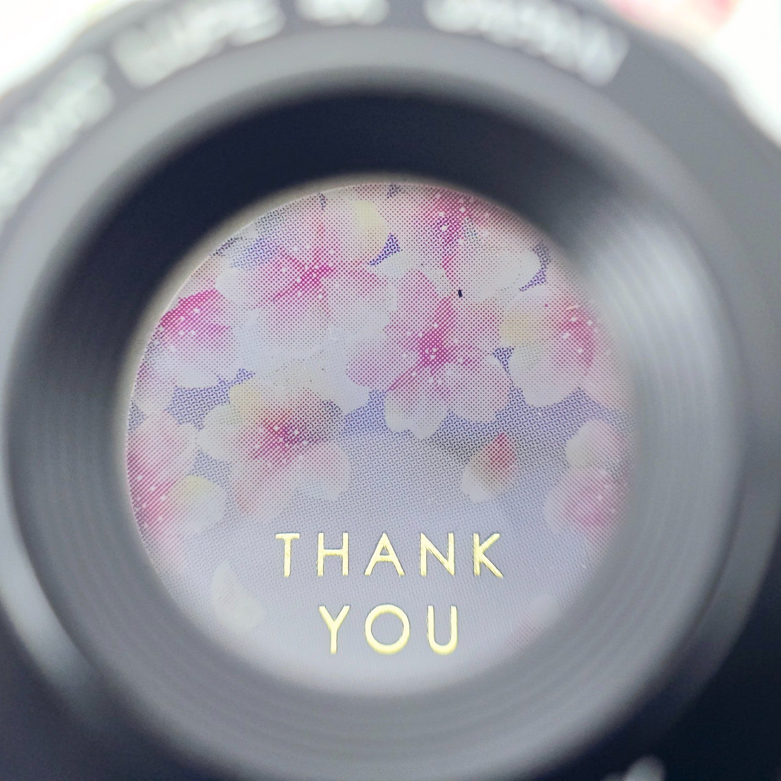 🌸[Near MINT] Peak Anastigmat Lupe Loupe 4x Magnifier No.1990 From JAPAN