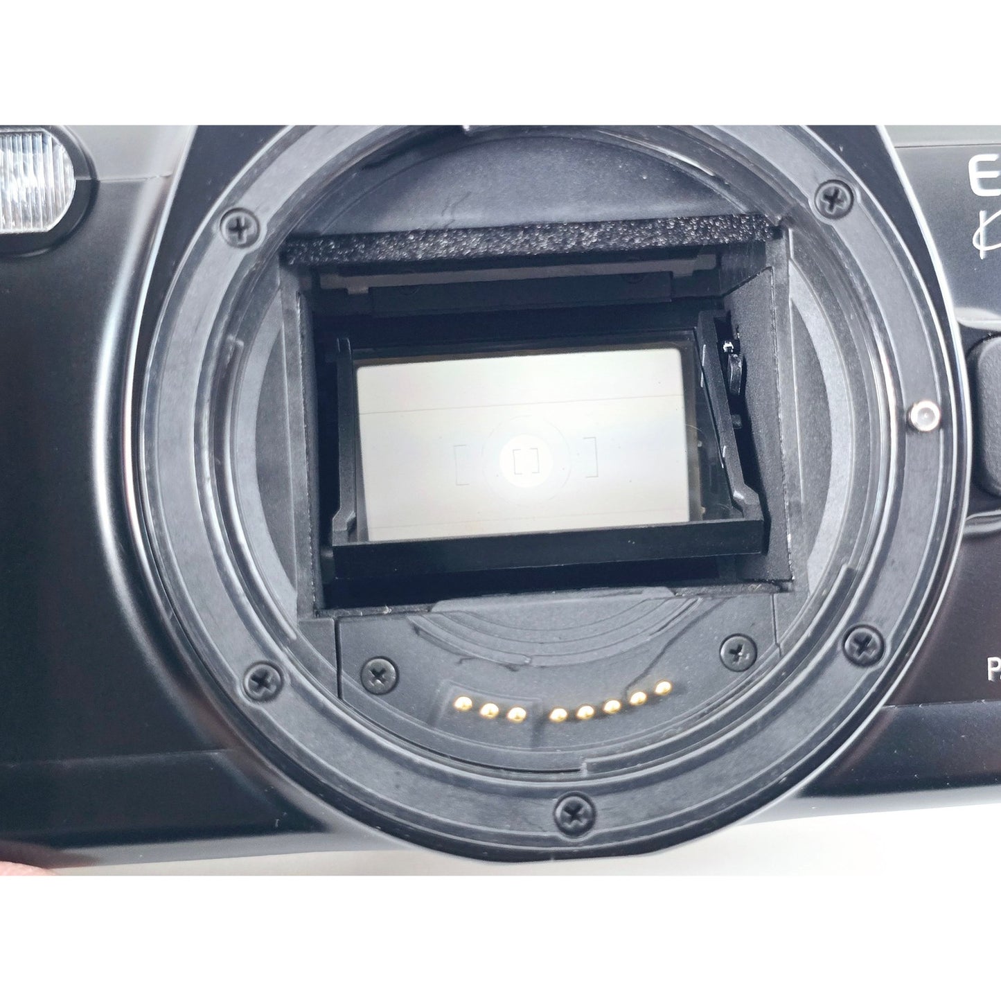 [Pre-owned] Canon EOS Kiss (Rebel XS/500) 35mm Film Camera Body Only — MINT — Japan #3901