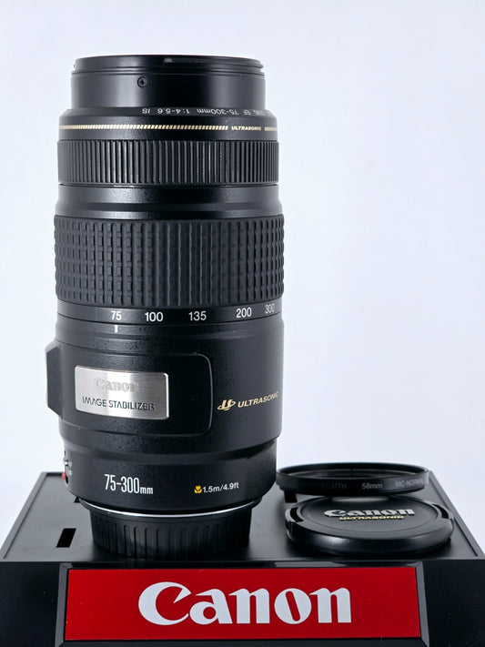 🌸[MINT] Canon EF 75-300mm F4-5.6 IS USM AF Telephoto Zoom Lens From Japan
