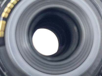 🌸[MINT] Canon EF-S 55-250mm F4-5.6 IS Telephoto Zoom Lens Genuine From Japan