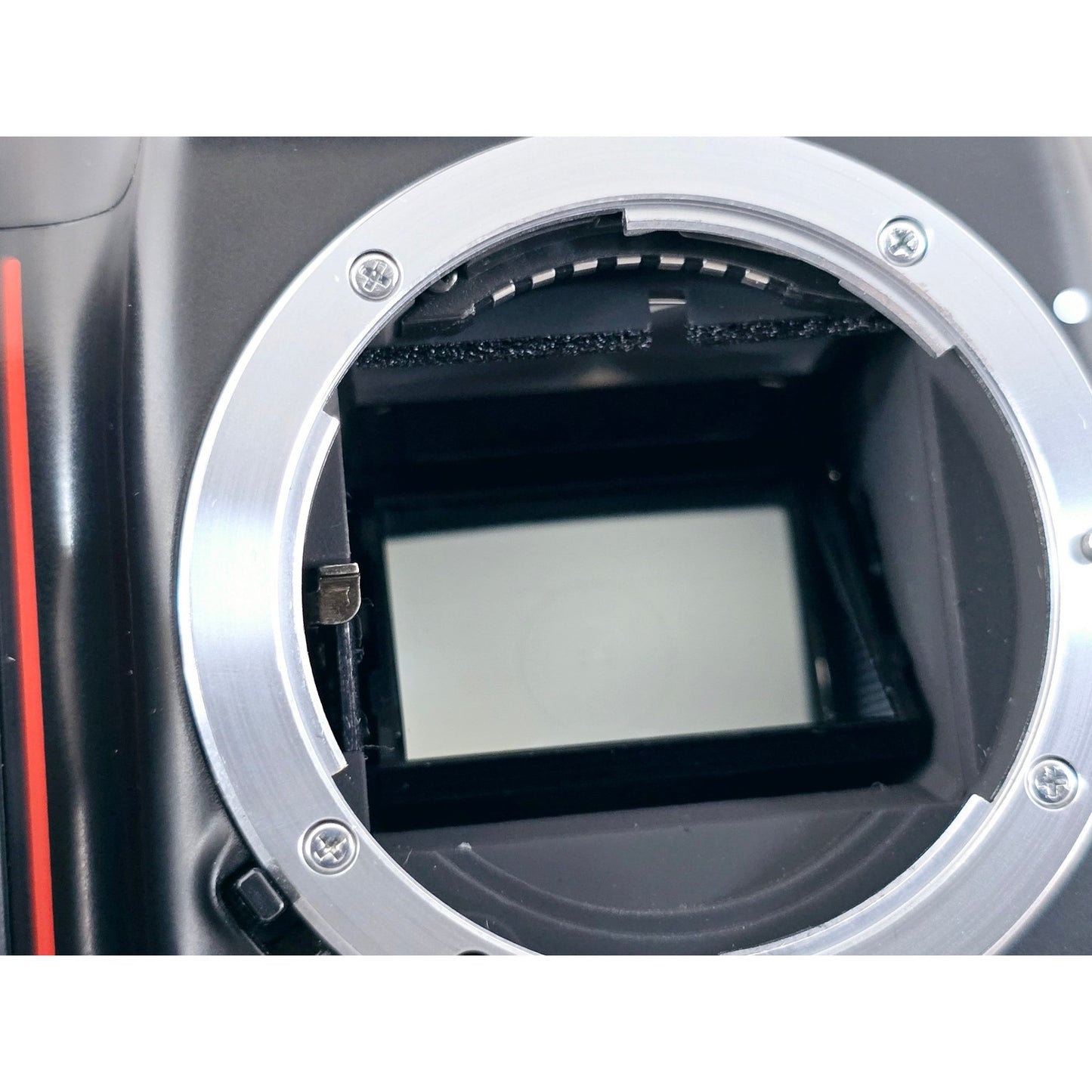 [Pre-owned] Nikon F50 Panorama SLR 35mm Film Camera (Body Only) — Near MINT+++ — Japan #3846