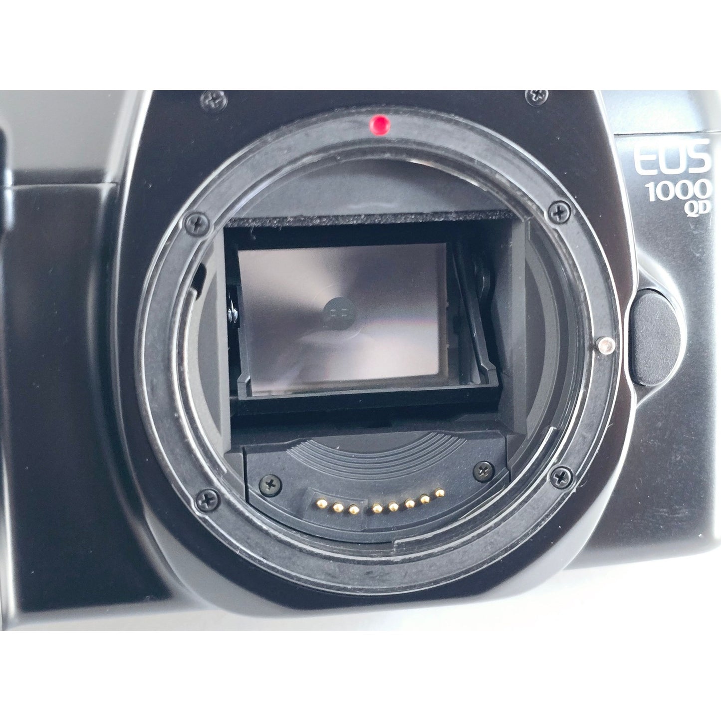 [Pre-owned] Canon EOS 1000 QD 35mm Film Camera Body — MINT — Japan #3722