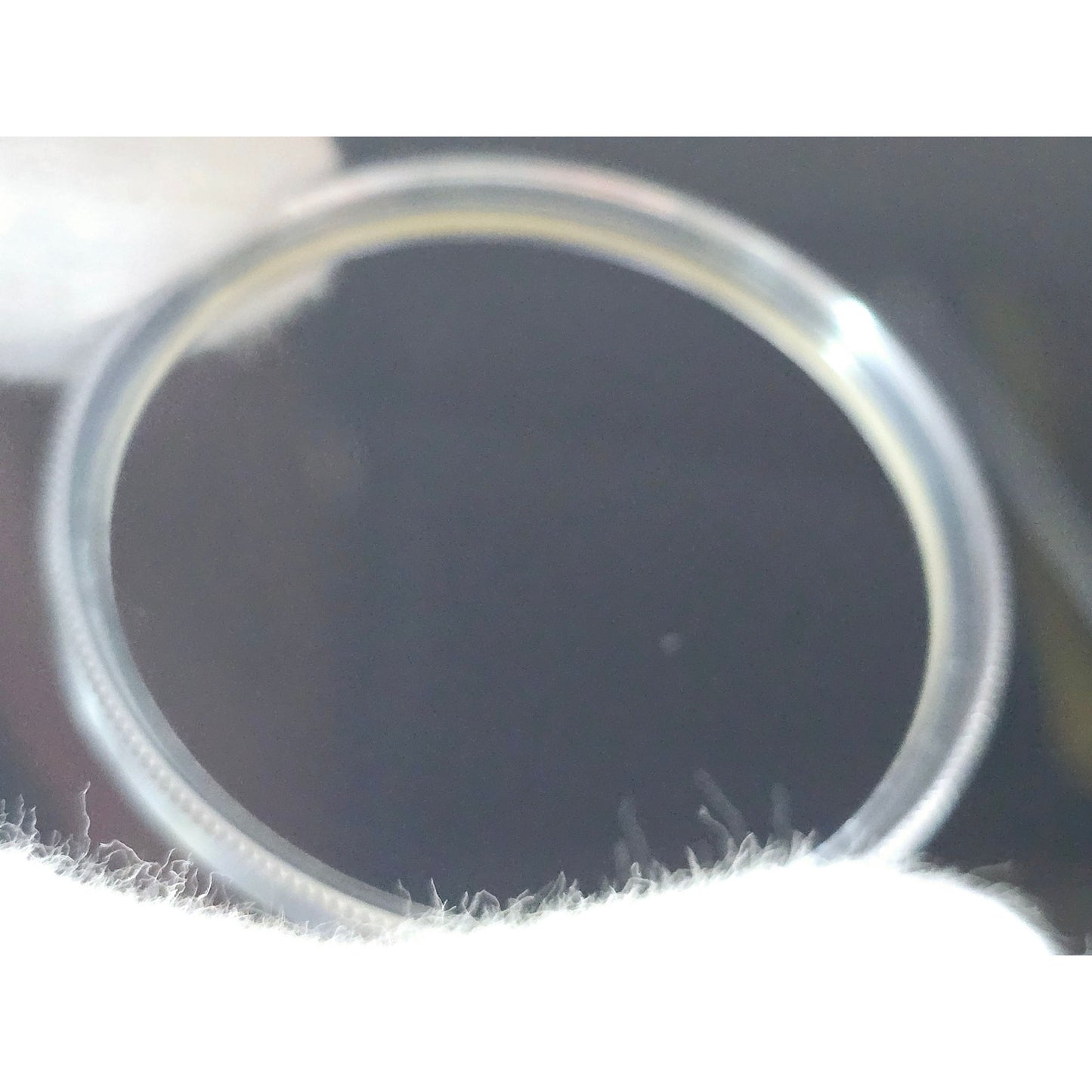 [Pre-owned] Nikon L39 52mm Chrome Frame Lens Filter Genuine — Near MINT — Japan #3786